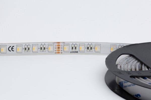 RGBW LED Streifen 5m IP65 (spritzwassfest)