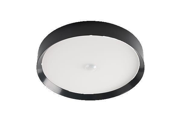 LED Ceiling Light RGBW Tree Anthrazit