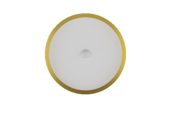 LED Ceiling Light RGBW Air Vienna Edition