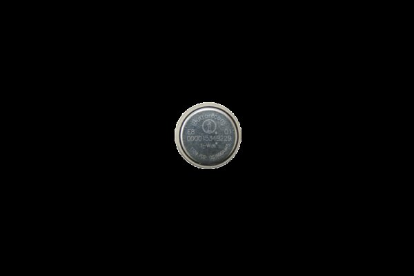 Elektronischer Schlüssel - iButton